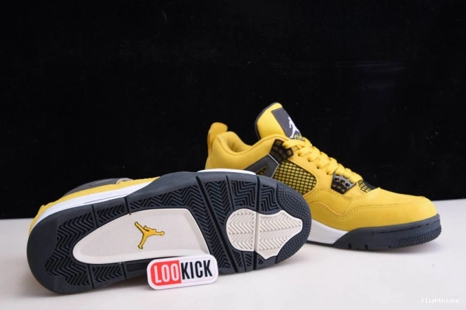 Air Jordan CT8527-700 Lightning Retro 4 1005